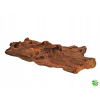 DRIFT WOOD Korzeń mangrowca L do terrarium, akwarium 40 - 60 cm