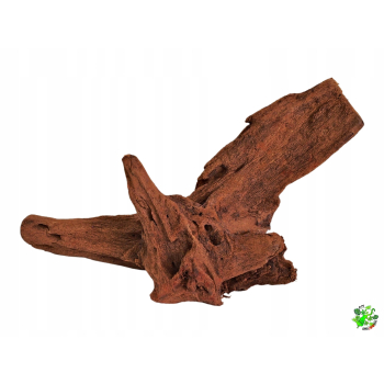 DRIFT WOOD Korzeń mangrowca L do terrarium, akwarium 40 - 60 cm