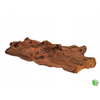 DRIFT WOOD Korzeń mangrowca L do terrarium, akwarium 40 - 60 cm