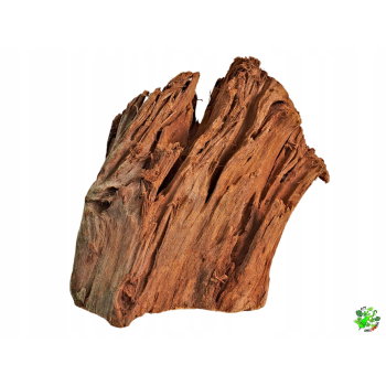 DRIFT WOOD Korzeń mangrowca L do terrarium, akwarium 40 - 60 cm