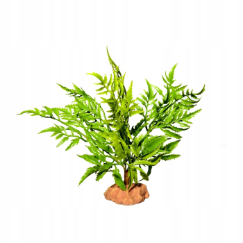 Terra Natura Roślina pustynna stojąca do terrarium 24 cm.
