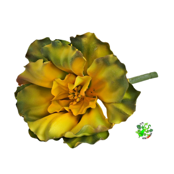 Sukulent z gumy YELLOW 15 cm