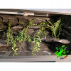 Terrarium z płyty meblowej antracyt ze ścianką szarą 100 x 50 x 50 cm