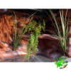 Terrarium z płyty meblowej antracyt ze ścianką czerwoną 120 x 50 x 50 cm