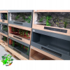 Terrarium z płyty meblowej antracyt ze ścianką czerwoną 120 x 50 x 50 cm
