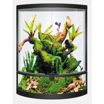 REPTO TERRA HALF MOON Terrarium panoramiczne PREMIUM 56 x 28 x 64 cm