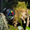 Habistat DIAL HYGROMETER Higrometr poziom wilgotności terrarium PRECYZYJNY