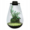 BIO ART Las w słoiku PREMIUM + oświetlenie LED wspomagające wzrost roślin