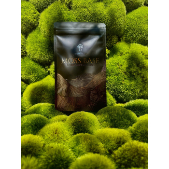 MOSS MIX + Moss Base Mix zarodników mchów i paproci - Gotowy zestaw