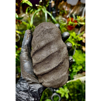 TROPICAL CLAY - Glinka - Ścianka i aranżacja w terrariach tropikalnych 3kg