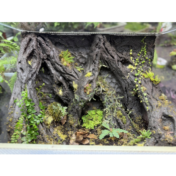 TROPICAL CLAY - Glinka - Ścianka i aranżacja w terrariach tropikalnych 3kg