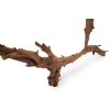 Korzeń mangrowca do terrarium, akwarium Mangrowiec L 70-90cm