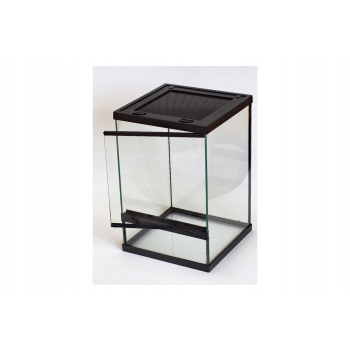 REPTO TERRA SKY Terrarium PREMIUM dla patyczaków, straszyków 20 x 20 x 30cm