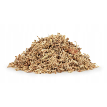 Mech torfowiec Sphagnum moss dla żaby rogatej, ukorzeniania roślin 1kg