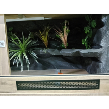 Terrarium z płyty meblowej, ścianka, termometr + higrometr 140 x 60 x 60 cm