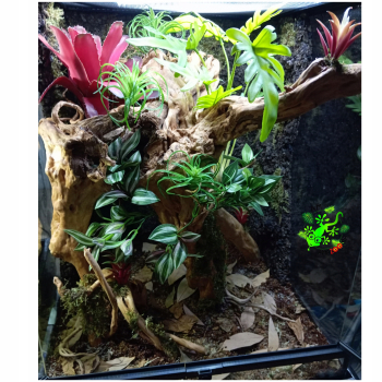 HabiStat Leaf Litter Ściółka z liści- detailling podłoża do terrarium 500g