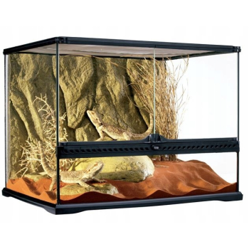 Exo Terra Terrarium szklane MEDIUM + TŁO dla gekona lamparciego 60x45x45cm