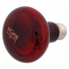 Repti Planet Żarówka grzewcza Infrared Heat 100 W
