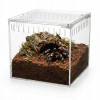 Terrarium akrylowe zamykane na magnes dla ptasznika 13 x 11 x 12 cm