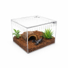 Terrarium akrylowe zamykane na magnes dla ptasznika 13 x 11 x 12 cm