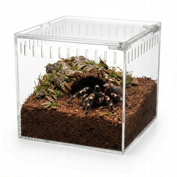 Terrarium akrylowe zamykane na magnes dla ptasznika 13 x 11 x 12 cm