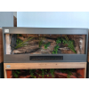 Terrarium z płyty meblowej antracyt ze ścianką szarą 100 x 40 x 40 cm #ŁÓDŹ