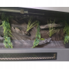 Terrarium z płyty meblowej z ZABEZPIECZENIEM p/wilgoci antracyt + ścianka 120 x 50 x 50 cm