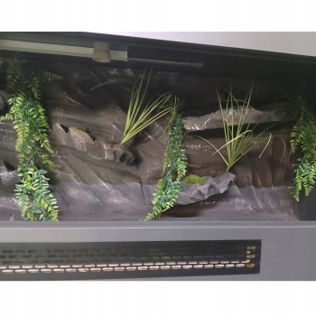 Terrarium z płyty meblowej z ZABEZPIECZENIEM p/wilgoci antracyt + ścianka 120 x 50 x 50 cm