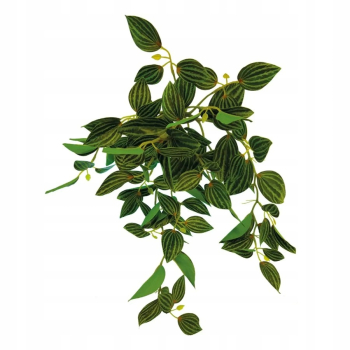 REPTO PLANT HANGING GREEN Sztuczna wisząca PEPEROMIA do terrarium 40 cm