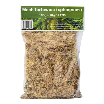 Terrarium Treasure Sphagnum cristatum ŻYWY MECH torfowiec 100g + 10% gratis
